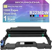 Woungzha Remanufactured Drum B220Z00 - Black - Replacement for Lexmark MB2236i, MB2236dw, MB2236adw, MB2236adwe - Durable OPC High End Loading Reel, Anti-Aging Capability, Quality Toner Powder