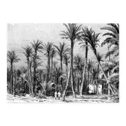 Coastal Palm – Black A1 Poster Print