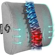 Samsonite SA5244 Ergonomic Lumbar Support Pillow Helps Relieve Lower Back Pain 100% Pure Memory Foam Improves Posture Fits Most Seats Breathable Mesh Washable Cover Adjustable Strap