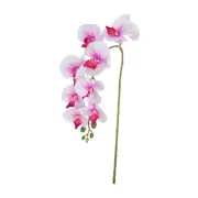 1 Pcs 38 Inch Artificial Orchid Stems Phalaenopsis Flowers White/Purple