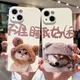 情侶可愛貓咪柴犬適用于iphone11promax蘋果12手機殼xr全包iphone13女硅膠xsmax防摔8plus軟殼7保護套6sp創意