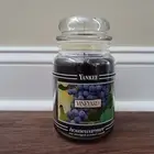 New Yankee Candle Vineyard 22oz Large Jar Black Label Retired Black Band
