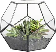 NCYP Black Glass Geometric Terrarium Container Modern Tabletop Window Sill Decor Flower Pot Balcony Planter DIY Display Box for Succulent Air Plants Miniature Fairy Garden (No Plants)