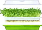 Seed Sprouter Tray Soil-Free for Wheatgrass with Cover and 2 Size Holes