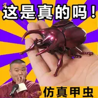 在飛比找蝦皮購物優惠-高品質😂鋒勢百貨 熱賣禮品生日禮物幼兒園禮品聖誕節禮物發條甲