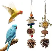 Bird Chewing Toys,2Pcs Rattan Ball Loofah Pine Cone Parrot Teeth Grinding Chew Treats Toy,Bird Cage Accessories for Parakeets Cockatiels Conures Budgies Lovebirds (B)