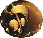 Gold Musical Note With Fallen Shiny Star Print Shower Cap For Women Men Reusable Lightweight Soft Bath Hair Cap With Elastic Band