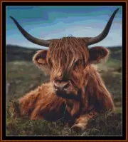 BAD HAIR DAY ~ cross stitch pattern (punto cruz) [cow]