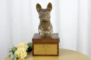 Basenji brown mailbox Art-Dog