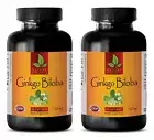 Brain Boost Focus Memory Supplement - GINKGO BILOBA Extract 120mg - 2 Bottles