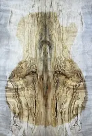 Figure Electric Guitar Top Spalted Barky Maple Wood Bookmatch Set Luthier Supply