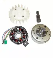 Trailmaster Taurus 200GV, Taurus 200GX, Magneto Stator & Flywheel Kit