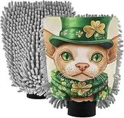 XYMZR Cat St Patricks Day Absorbent Microfiber Car Wash Mitt, Funny Cute Anime Scratch Free for Cars Cleaning, Home Cleaning Mitts, 2 Pack, 10.24” L x 7.09” W