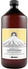 DAVINES Naturaltech Purifying Shampoo , 33.8 fl.oz.