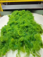 Crocodile Green - Hand-dyed Shetland Wool Roving - 4 oz bags