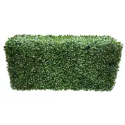 Portable Boxwood Hedge UV Resistant 100cm Long X 50cm High