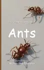 It's Time to Learn about Ants by Walter the Educator Paperback Book