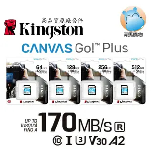 金士頓 64G 128G 256G 512G SDXC 記憶卡 SDG3 U3 V30 C10 4K UHD UHS-I