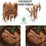 Coconut Husk Coir Fiber Growing Organic Natural Anthurium Orchids Pet Bedding