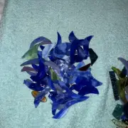 6 l/b Broken Glass Shards for Resin Craft and Fine Art. 4 stunning colors.