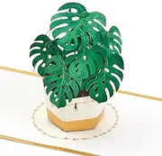 Hallmark Signature Paper Wonder Pop Up Thinking of You Card, Encouragement Card (Monstera) (5RZH1204)