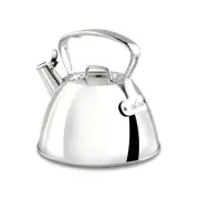Specialty Stainless Steel Tea Kettle 2 Quart Induction Pots and Pans, Cookware S