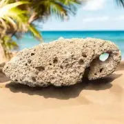 Rare Large Exotic Coral Rock Holey Star Sea Vintage Ocean Stone Aquarium Decor
