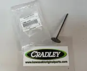 Kawasaki Genuine Intake/inlet Valve ER6,,Vulcan S &Versys 650 12004-0706