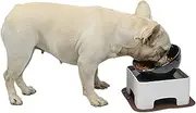 WZ PET Raised Tilted Dog Feeding Bowl,Elevated Ceramic Dog Bowls Set Anti-Slip,Standing Pet Feeding Dish for Small Medium Dogs and Cats,Black