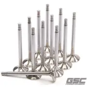 GSC Power 2147-12 Super Alloy STD size head with an Extended tip Exhaust Valve