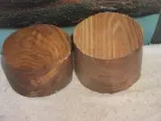 SPALTED WATER OAK Turning Wood bowl, large project blank