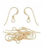 14K Gold Filled French Wire Earring Hooks, for Earring Hooks for Jewelry Maki...