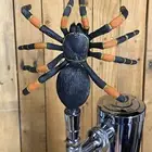 Tarantula Beer Tap Handle For Kegerator Keg Scary Spider Zoo Halloween Bug