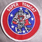 Embroidered Military Patch U S Navy F-14D Super Tomcat NEW