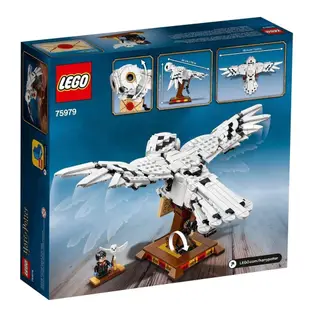 LEGO 75979 嘿美 Hedwig 哈利波特系列【必買站】樂高盒組