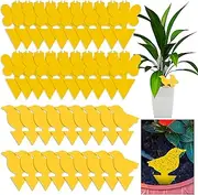 Yellow Fruit Fly Sticky Traps Indoor and Outdoor Plants, Fungus Gnat Trap Killer for House Flower Nontoxic Plant Insect Catcher (48pcs Bee)