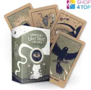 TRANSIENT LIGHT TAROT CARDS DECK AND GUIDEBOOK HAY HOUSE BY ARI WISNER NEW
