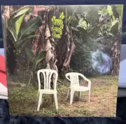 Bad Bunny - Debi Tirar Mas Fotos (2025 Gatefold 2 Blue Vinyls) Sealed