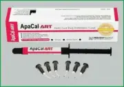 PREVEST DENPRO APACAL ART - Photo Cure Pulp Protectant / Liner 2 x 2 gm FASTSHIP