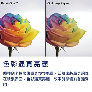 PaperOne影印紙｜All Purpose高效商務｜80g（A4/A3/A5/LS）【官方旗艦店】