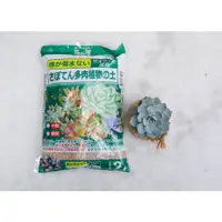 在飛比找蝦皮購物優惠-【現貨】花之屋 /仙人掌多肉植物專用土 /栽培介質 /多肉土