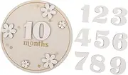 MOBUTOFU 1 Set Monthly Milestone Sign Decorative Wooden Milestone Discs for Newborn Photography Present for Showers and Gender Reveals