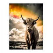 Highland Cow Painting Black & white Canvas Print