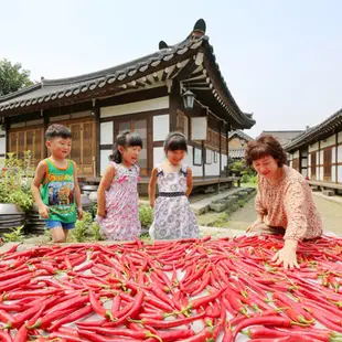 清淨園 大醬( 海鮮大醬/生菜包肉/地獄辣椒) 450g 蝦皮直送 現貨 (部分即期)