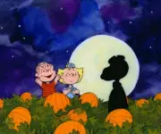 Blanket Linus Charlie Brown Snoopy Pumpkin Patch Fleece Throw 50x60 bed sofa