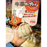 在飛比找蝦皮購物優惠-貝果貝果 日本 Doggyman 犬用 牛革互動潔齒玩具 球