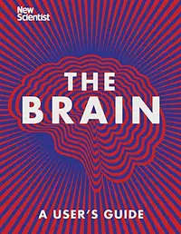 在飛比找誠品線上優惠-The Brain: A User's Guide