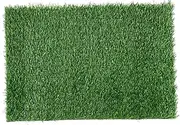 LOORGVEL Artificial Grass Front Door Rug Non Slip Outdoor Turf Mat for Entryway Garden and Pet Training Fake Grass Rug for Home and Backyard