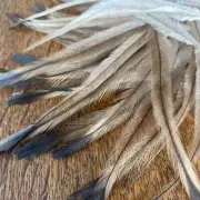 Natural Emu Feathers x 200pcs Jewellery Supplies Findings Craft DIY Fly Fishing