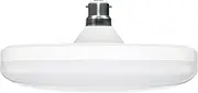 HPM 19W LED Warm White T Shape B22 Globe